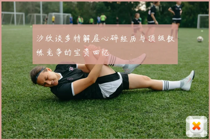 沙欣谈多特解雇心碎经历与顶级教练竞争的宝贵回忆