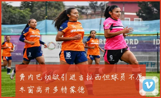 费内巴切欲引进吉拉西但球员不愿冬窗离开多特蒙德