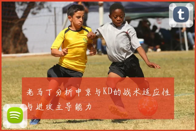 老马丁分析申京与KD的战术适应性与进攻主导能力