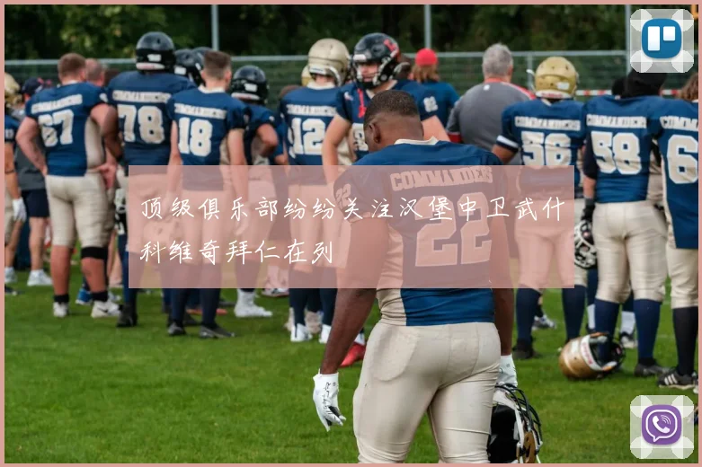 顶级俱乐部纷纷关注汉堡中卫武什科维奇拜仁在列