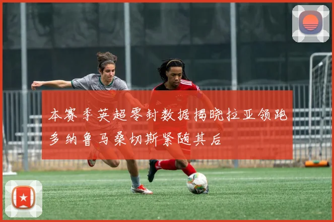 本赛季英超零封数据揭晓拉亚领跑多纳鲁马桑切斯紧随其后